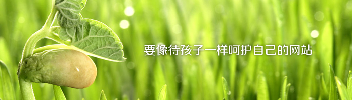 要像待孩子一樣呵護(hù)自己的網(wǎng)站